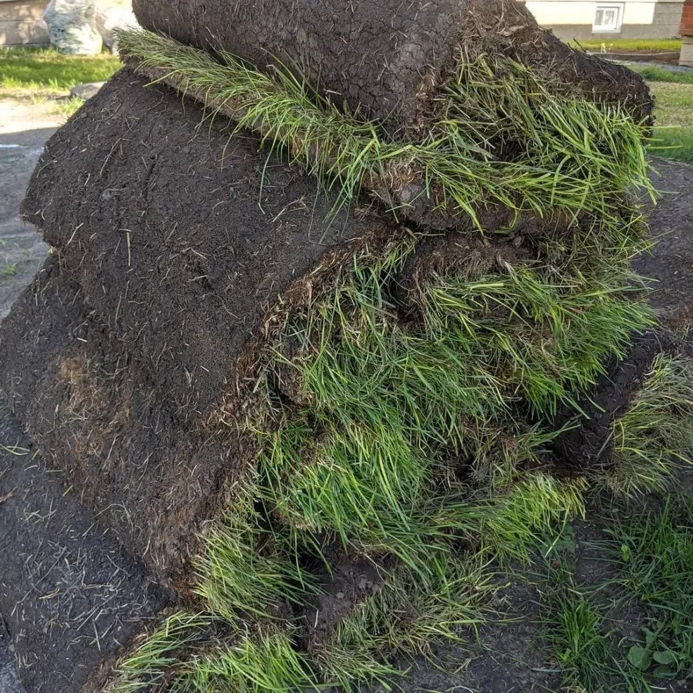 sod