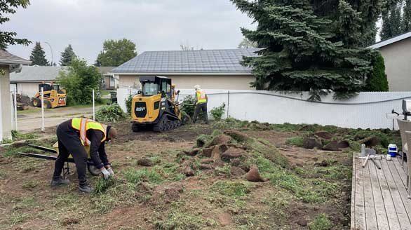sod removal service